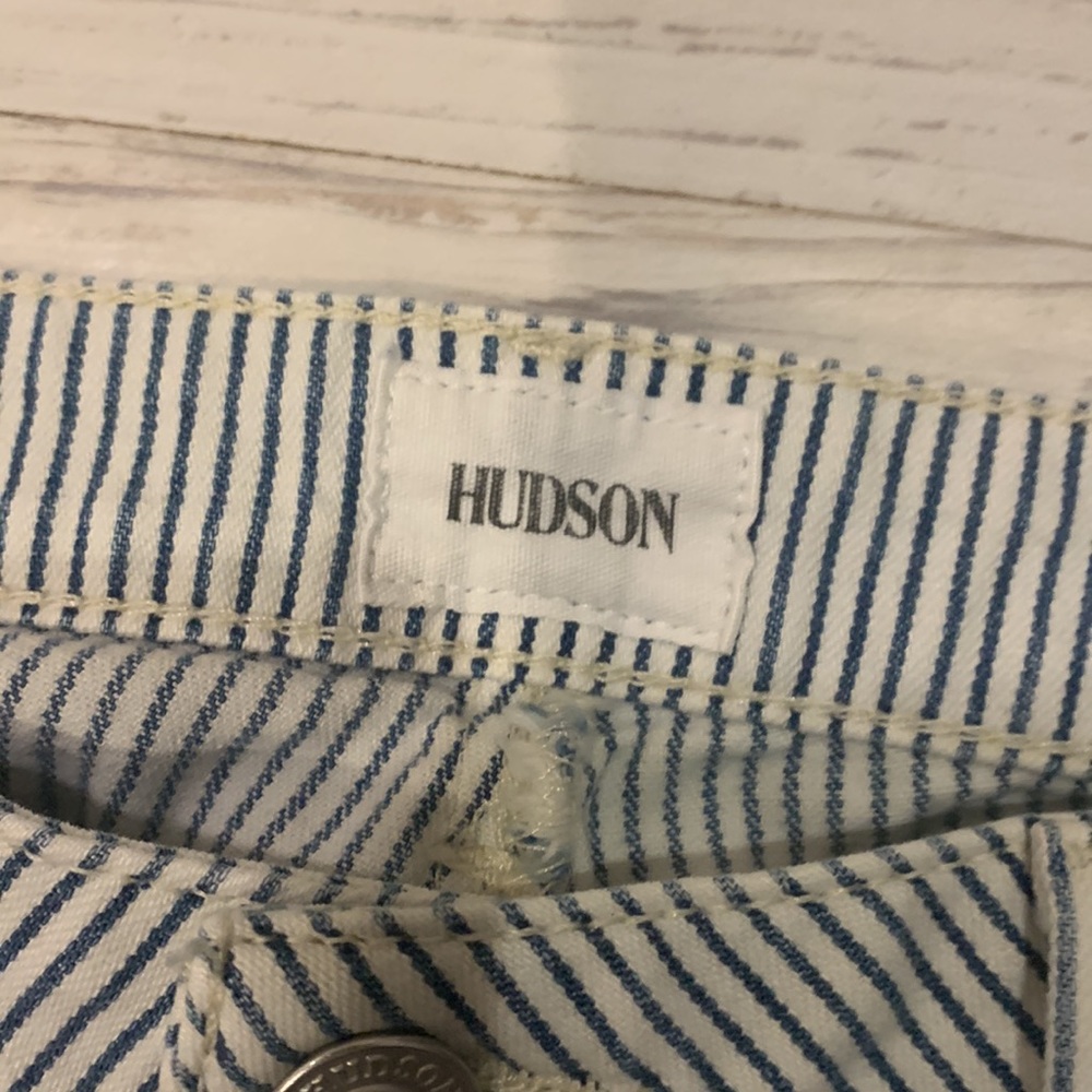 Hudson Jeans Blue and White Striped Ankle Jeans